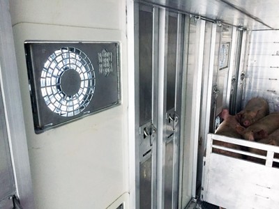 transport of live animals