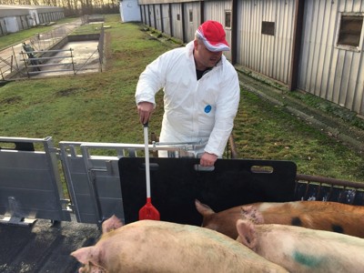 transport of live animals